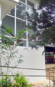 greenspace palawan hotel