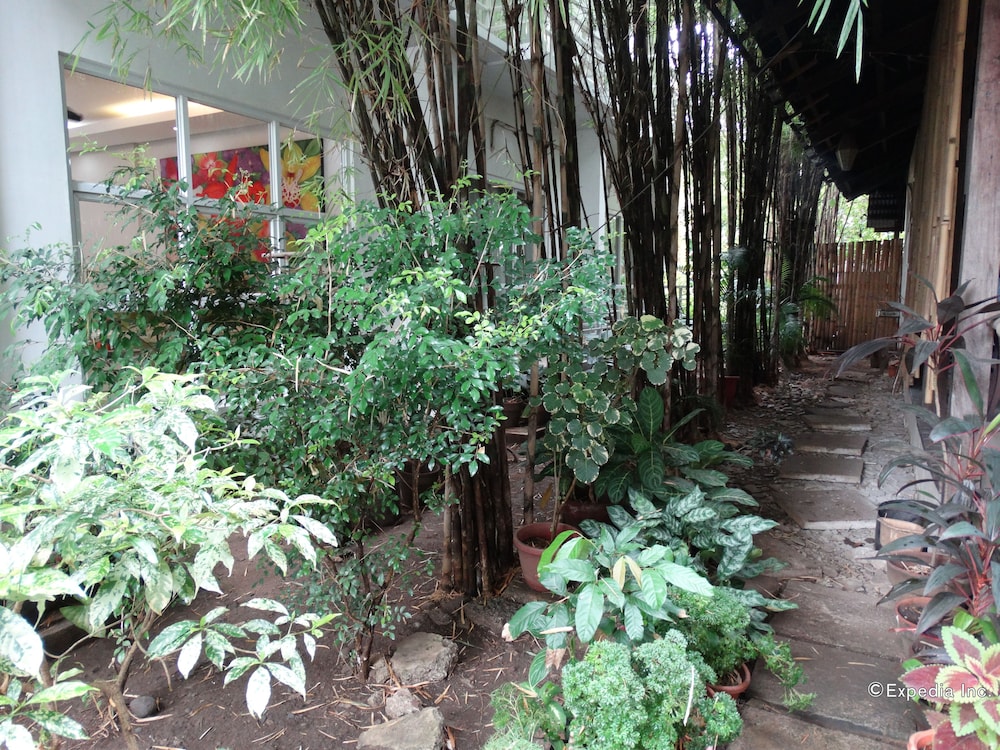 greenspace palawan hotel