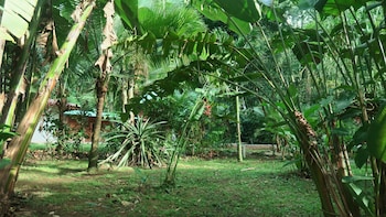 cahuita