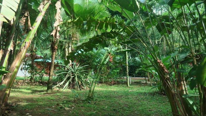 casa moabi