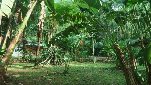 casa moabi