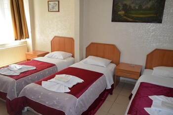 hotel ekol