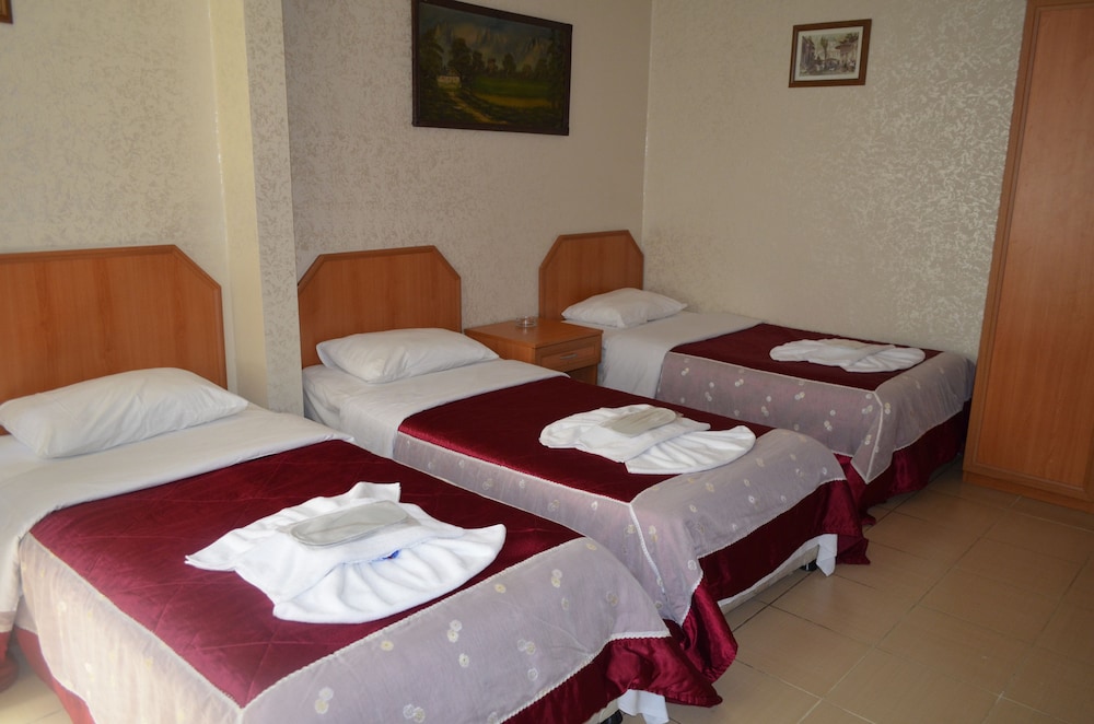 hotel ekol