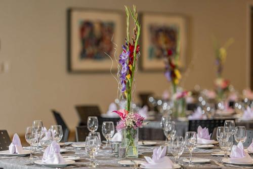the art hotel denver curio collection by hilton