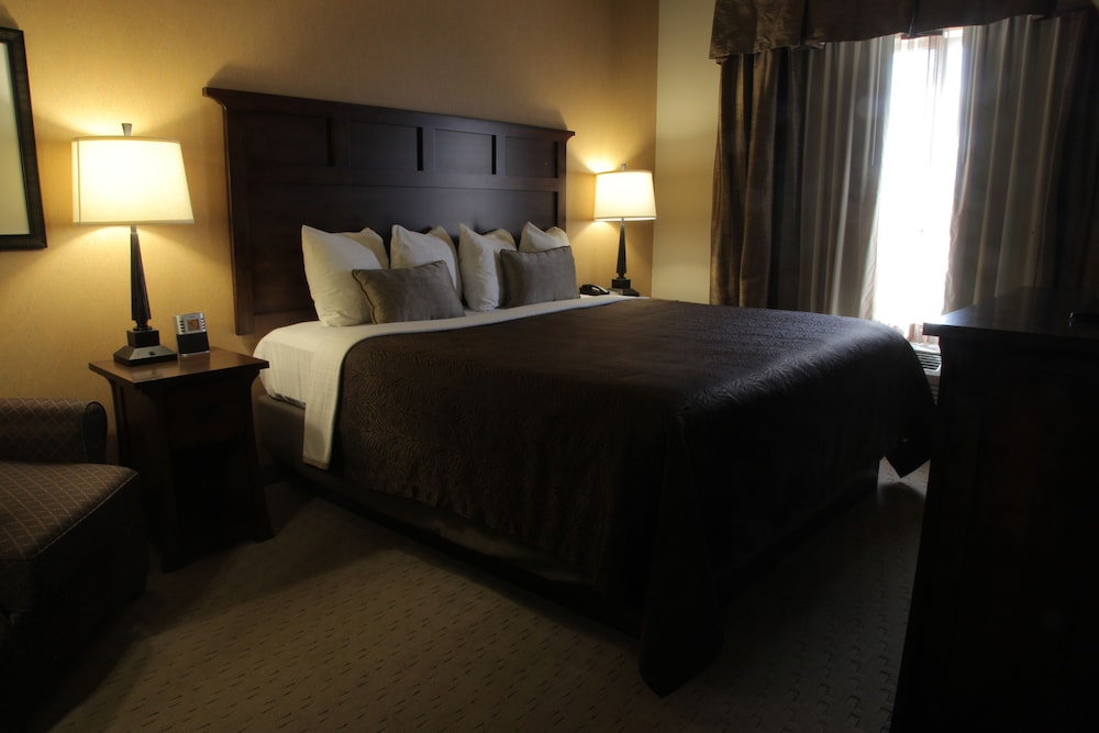 teddys residential suites new town