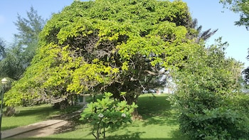 kairaba hotel
