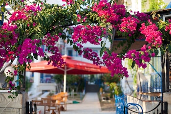 bodrum
