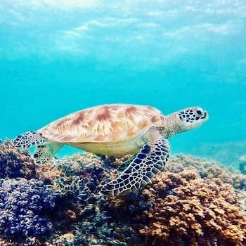 gili trawangan