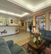 super 8 by wyndham calgary shawnessy area