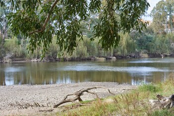 gundagai cabins and tourist park