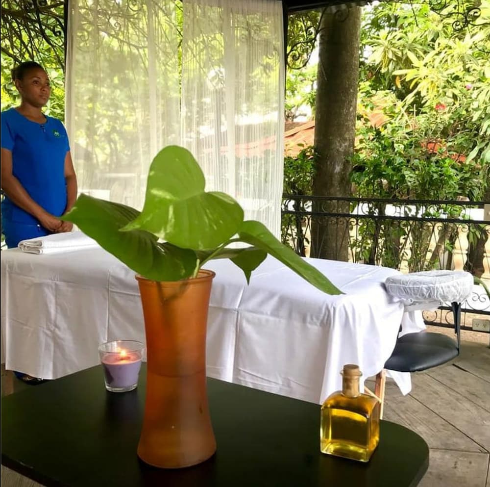 hotel du roi christophe