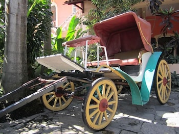 hotel du roi christophe