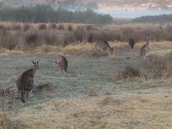 Idlewilde Country & Town Motorinn,Merimbula>>Eden,4 star