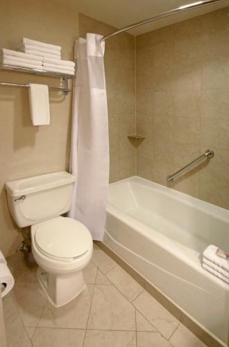 crowne plaza torreon an ihg hotel