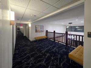 comfort inn and suites