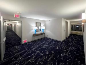 comfort inn and suites