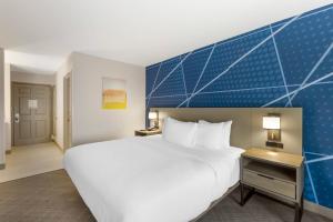 comfort inn and suites