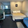 palmerston north