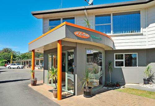 palmerston north