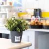 ibis budget madrid centro las ventas
