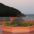 cap haitien