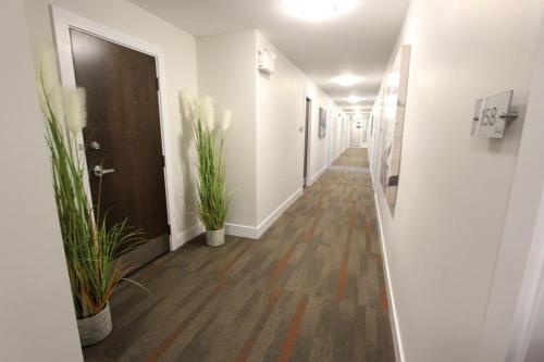stardust motel bedford