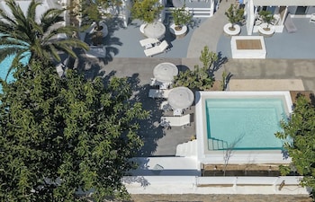 la stella stay