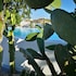 mykonos