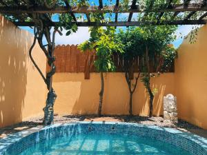 ding jia garden resort