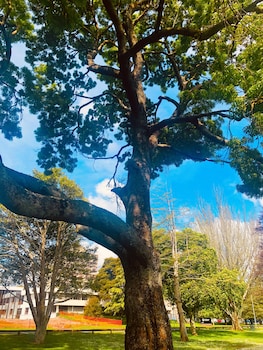 Hacienda Motor Lodge,Palmerston North>>Ohakea,5 star