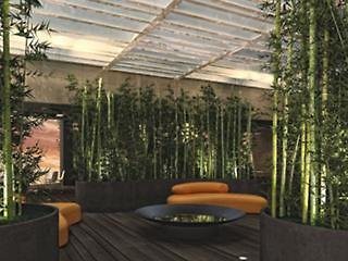 studio m hotel