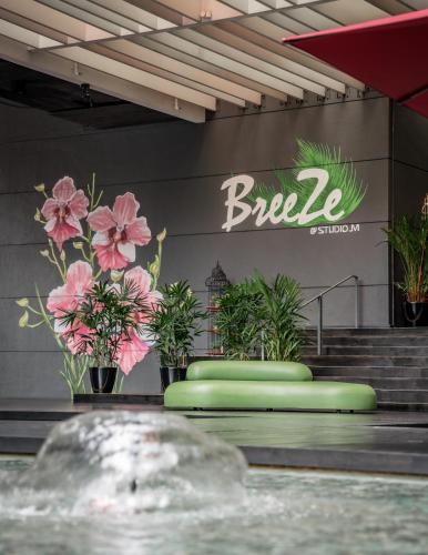 studio m hotel
