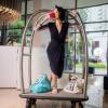 studio m hotel