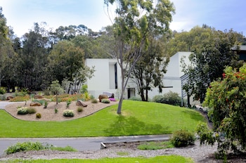 eden oak geelong