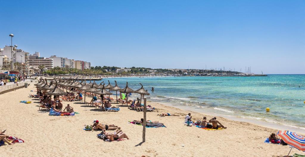 el arenal