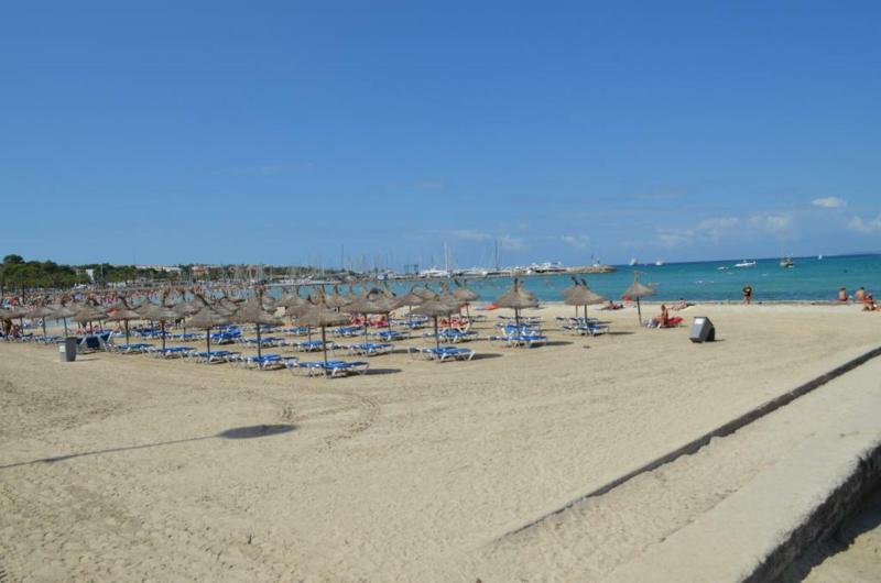 el arenal