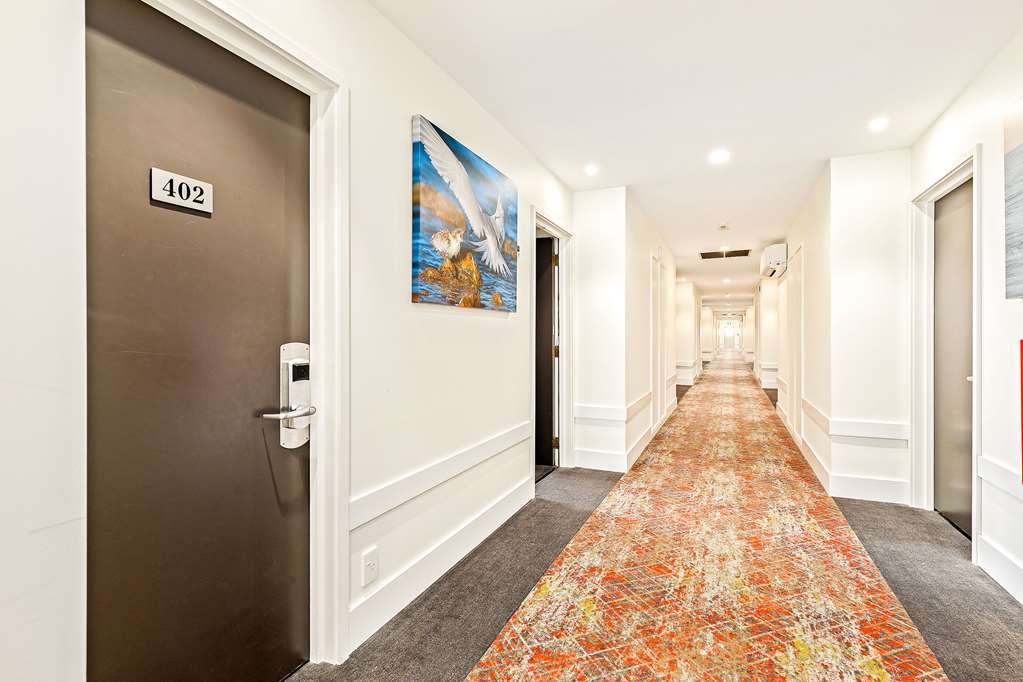 hotel elms christchurch ascend hotel collection