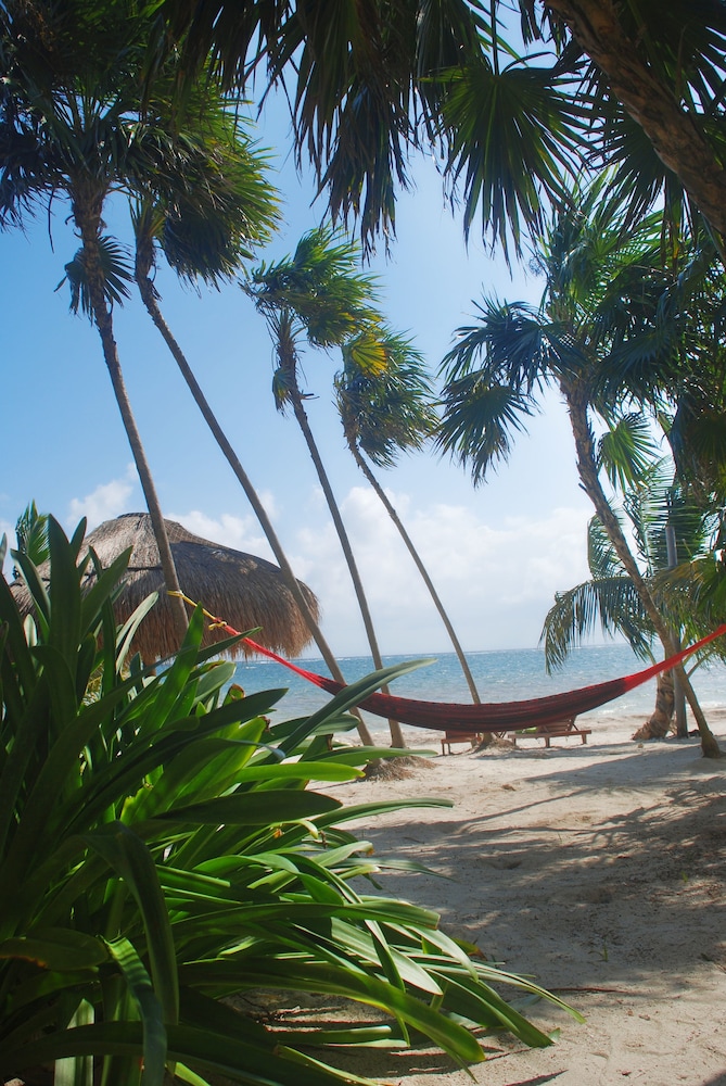 margarita del sol costa maya