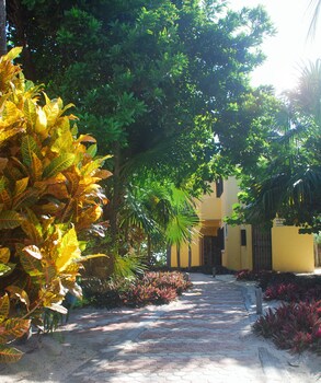 margarita del sol costa maya