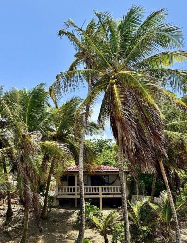 petite anse hotel