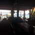koh tao