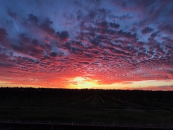 barossa house