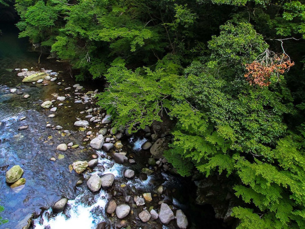 livemax resort amagi yugashima