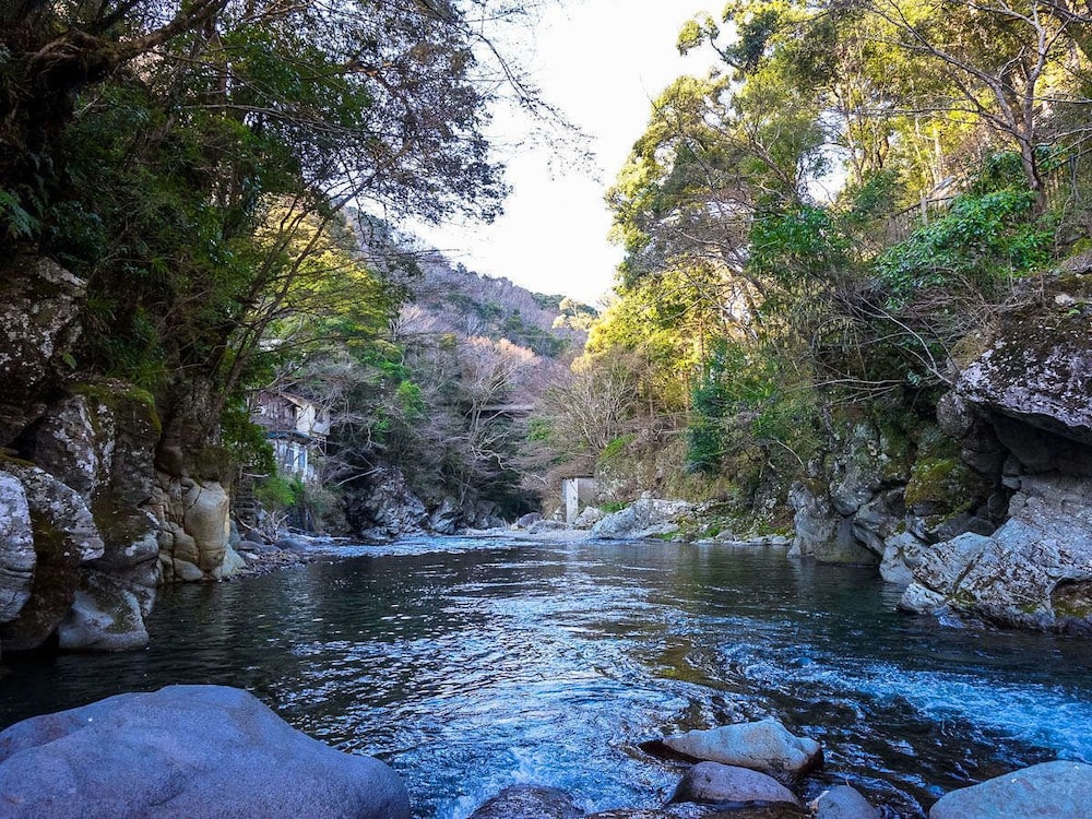 livemax resort amagi yugashima