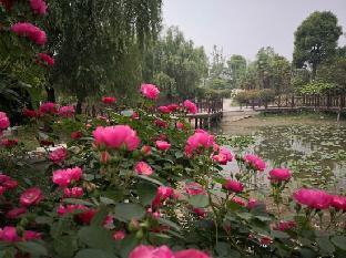 yangzhou