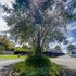 a1 motels port fairy motel and apartments