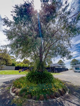 a1 motels port fairy motel and apartments