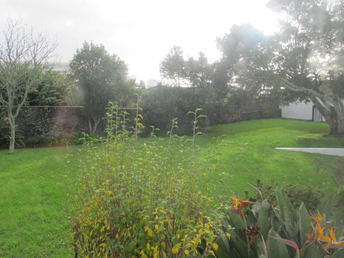 azores youth hostels sao miguel