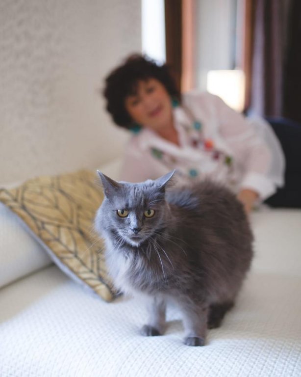 bandb vedetta townhouse adults only