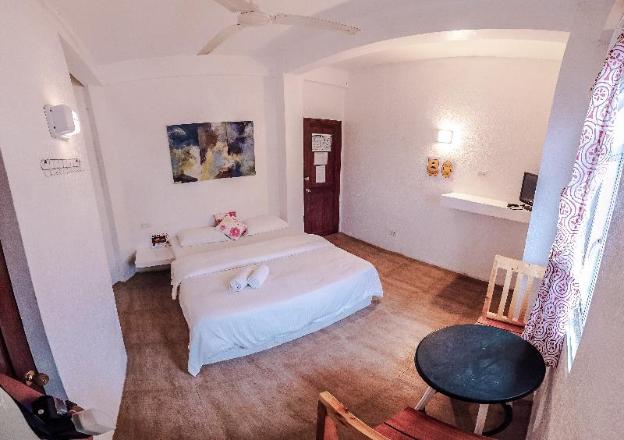 sea horse guest house